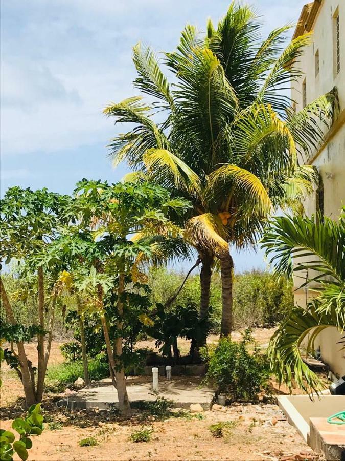 White Sands Anguilla - Sea Blowing Point Village エクステリア 写真